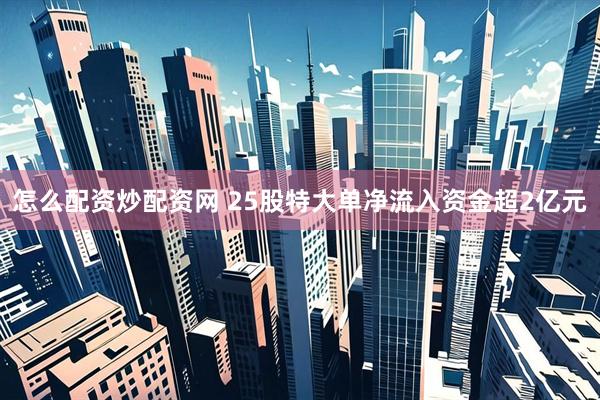 怎么配资炒配资网 25股特大单净流入资金超2亿元