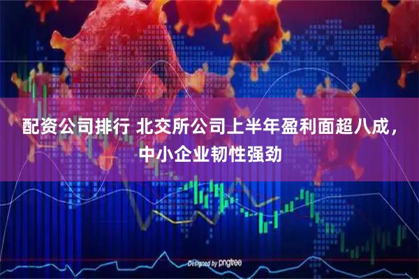 配资公司排行 北交所公司上半年盈利面超八成，中小企业韧性强劲