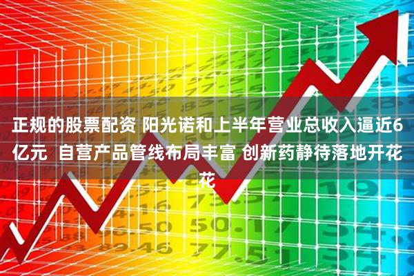 正规的股票配资 阳光诺和上半年营业总收入逼近6亿元  自营产品管线布局丰富 创新药静待落地开花
